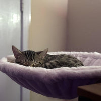 Adjustable Cat Climbing Frame Hammock