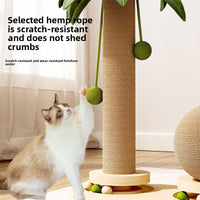 Coconut Tree Cat Climbing Frame